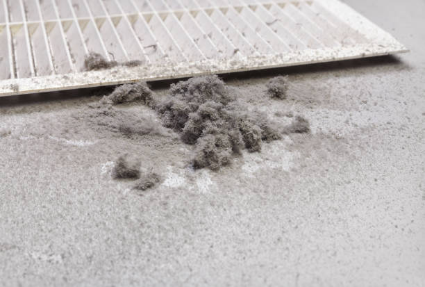 Best Home Air Vent Cleaning  in Durham, CA