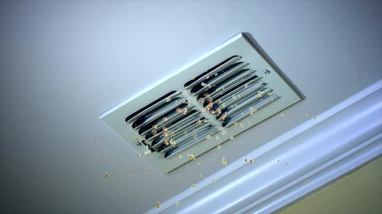 Best Best Air Duct Cleaning Near Me  in Durham, CA